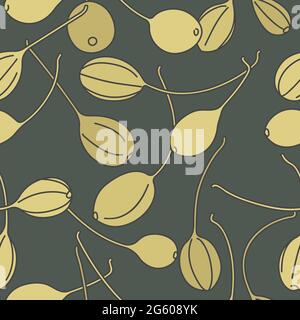 Vector illustration pickled capers - vintage linear style. Seamless pattern in retro botanical style Stock Vector