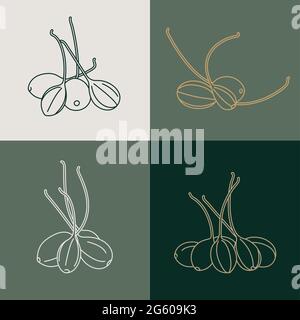 Vector set illustration pickled capers - simple linear style. Caperberries icons Stock Vector