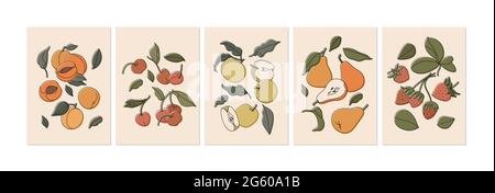 Vector illustration set of colorful fruits isolated on beige. Vintage style drawn apricots or peaches, strawbwrries, pears, apples and cherries. Colle Stock Vector