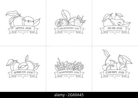 Vector illustration set of retro design labels with apple, apricot, pear, strawberry and raspberry, cherry fruits - simple linear style. Emblems compo Stock Vector