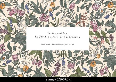 Vintage card with plants, herbs and flowers. Floral wreath. Flower frame for flowershop with label designs. Flowers background for cosmetics packaging Stock Vector