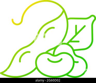 Edamame gradient linear vector icon Stock Vector