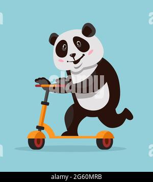 Panda riding scooter. Funny animal in cartoon style. Stock Vector