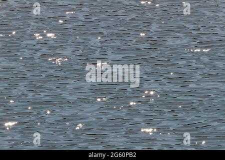 Sunlight glistens on the rippling water. Stock Photo