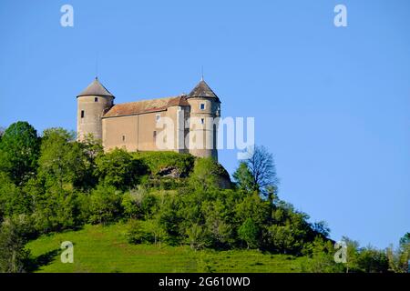 France, Doubs, Belvoir, Belvoir castle dated 12th century Stock Photo