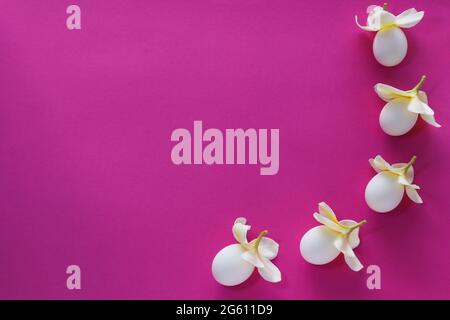 Fun eggs in a flower cap on a purple background. Stock Photo