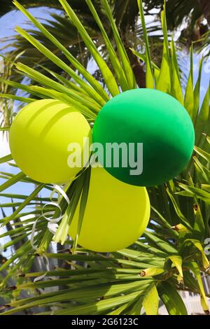 Tree bright balloons with white ribbon on palm tree. Stock Photo