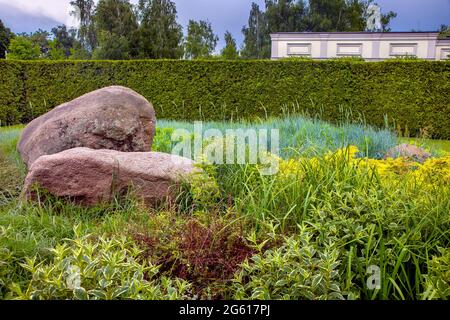 rockery with 2 big natural stones among green plants, park landscaping with thuja hedges and planting of greenery lawn and flower, nobody. Stock Photo