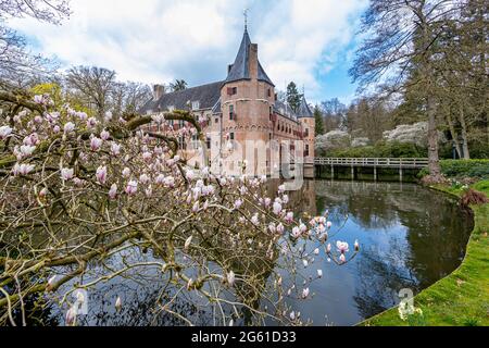 Pink flowering plants with the castle of Het Oude Loo with its moat with reflection in the water and its bridge in the background, sunny spring day in Stock Photo