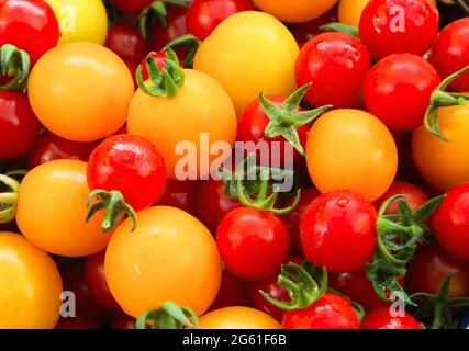 Yellow and red fresh cherry tomatoes Stock Photo