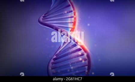 Fragment of DNA double helix model, 3D render Stock Photo - Alamy