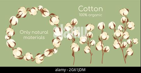 Organic cotton plant vector illustration set, cartoon flat cottonseed branch with white textured flower bolls, natural raw materials for eco textile Stock Vector