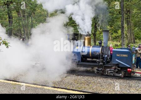 TIERRA DEL FUEGO, ARGENTINA - MARCH 7, 2015: Tourist steam train in National Park Tierra del Fuego, Argentina Stock Photo