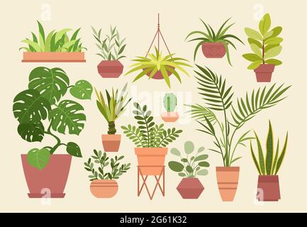 Plant in pot vector illustration set, cartoon flat different indoor potted decorative house plants for interior home or office decoration isolated Stock Vector