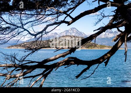 Lapataia bay in National Park Tierra del Fuego, Argentina. View over tree branches. Stock Photo