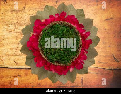 Round Green Moss Digital Newborn Backdrop for Newborn Photographers Stock Photo