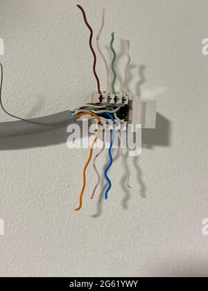 UTP data cable prepared for connector insert close-up view Stock Photo