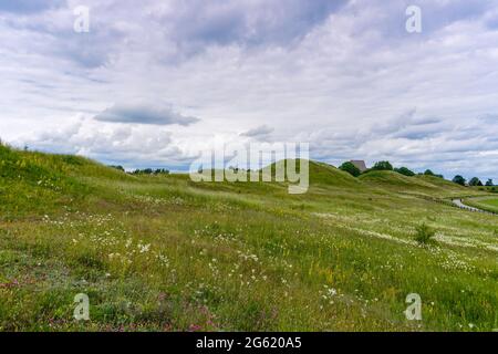 the rolling hills of Gamla Uppsala covered in long wildflower meadows with a gravel path on the side Stock Photo