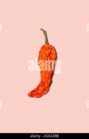 Chili pepper on pink background. Background is wiped for a solid color, ideal for graphic design. Stock Photo