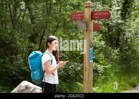 Looking for directions in the forest Stock Photo