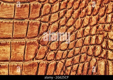 Abstract reptile Texture close-up, exotic trendy background. Concept of shopping, manufacturing Stock Photo