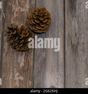 cone on wooden background with space for text Stock Photo