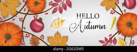 Hello autumn banner with leaves, pumpkins, branches and berries Stock Vector