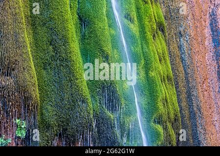 Moss on Ribbon Falls, Grand Canyon National Park, Arizona, U.S.A Stock Photo