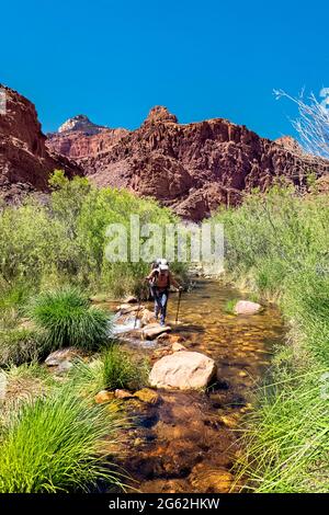 Crossing Ribbon Creek, Grand Canyon National Park, Arizona, U.S.A Stock Photo