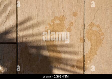 Wet footprint and shadow of palm on the ground by the pool Stock Photo