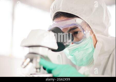 Doctor examines pathogens from blood samples of covid19 patients Stock Photo