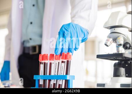 Doctor examines pathogens from blood samples of covid19 patients Stock Photo