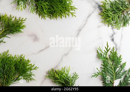 Frame made of white cedar thuja branches on white marble background, flat lay. Mockup card with copy space Stock Photo