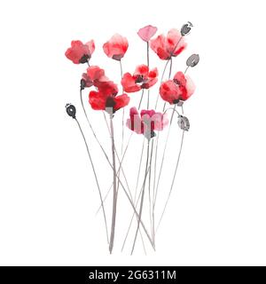 Hand drawn ink and watercolor vector illustration: red poppies flowers and buds isolated on white background Stock Vector