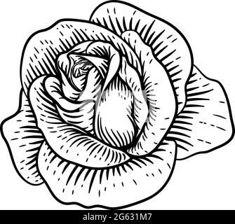 Rose Flower Vintage Woodcut Drawing Stock Vector