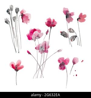 Hand drawn ink and watercolor vector illustration: red poppies flowers and buds isolated on white background Stock Vector