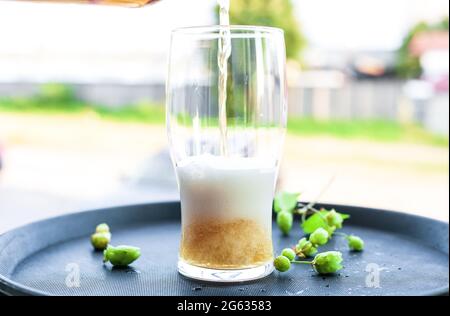 Light golden beer poured into glass from bottle. Tray with green hops and mug with yellow lager in summer garden Stock Photo