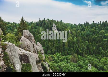 High cliffs in green forest. Summer landscape with large rocks in pine woodland in Skole Beskids national nature park, Ukraine Stock Photo