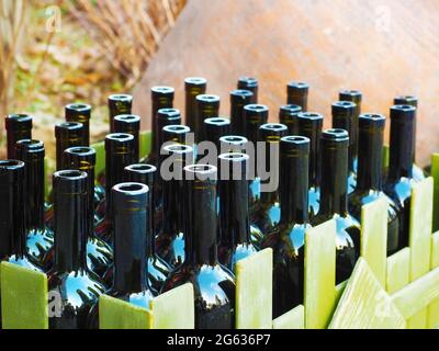 Plenty of empty wine bottles are in green wooden box. Closeup photo Stock Photo