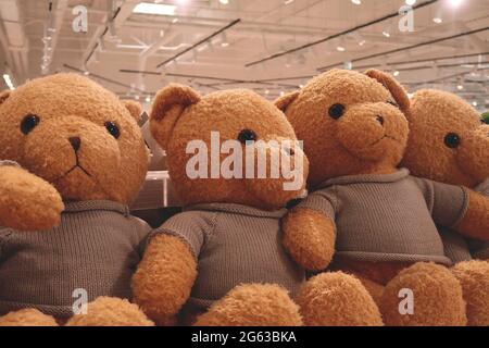 Teddy bear on the shelf Stock Photo