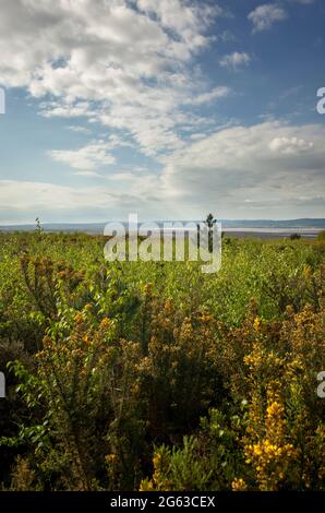 View of the Dee Estuary and Welsh Hills from the Cleaver Heath Nature Reserve at Heswall Wirral England UK Stock Photo