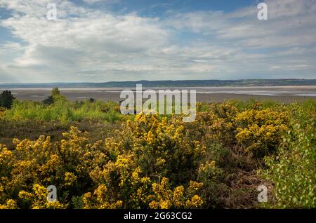 View of the Dee Estuary and Welsh Hills from the Cleaver Heath Nature Reserve at Heswall Wirral England UK Stock Photo