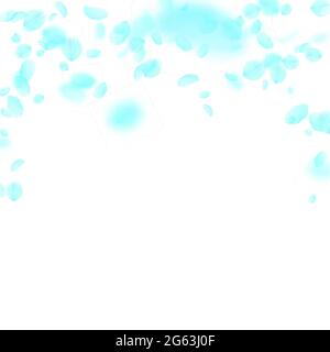 Turquoise flower petals falling down. Surprising romantic flowers falling rain. Flying petal on white square background. Love, romance concept. Authen Stock Vector