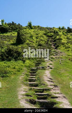 hiking trail leading up with wooden steps to the top of a hill in heathland countryside Stock Photo