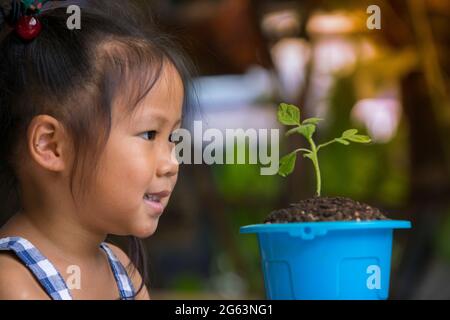 Cute children look with love at green sprout in blue pot. happy smiles and escape planted in a flowerpot. Stock Photo