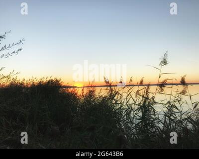 Sunset at Chiemsee, reeds in foreground Stock Photo