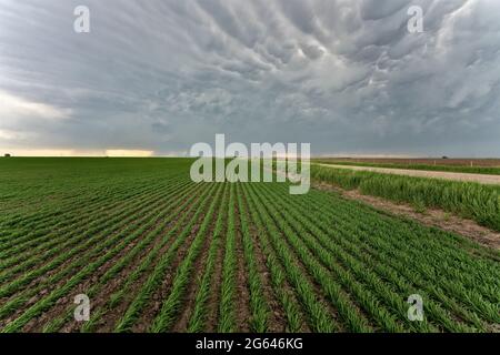 Prairie Storm Clouds in Saskatchewan Canada Rural Stock Photo