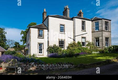 East Lothian, Scotland, UK, 2nd July 2021. Scotland's Garden Scheme new garden opening: Shane Corstorphine, former CFO of Skyscanner and a keen gardener, has spent 4 years getting the gardens of Camptoun House ready for opening for the first time to raise money for a walled garden at Gilmerton. There is a kitchen garden, walled garden, orchard and fairy trail.The gardens will be open this weekend only. Pictured: Camptoun House, a Georgian country house, with a flowerbed of catmint or nepeta Stock Photo