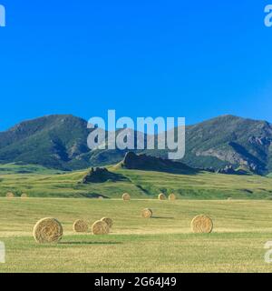 hay bales below the adel mountains near cascade, montana Stock Photo