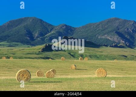 hay bales below the adel mountains near cascade, montana Stock Photo